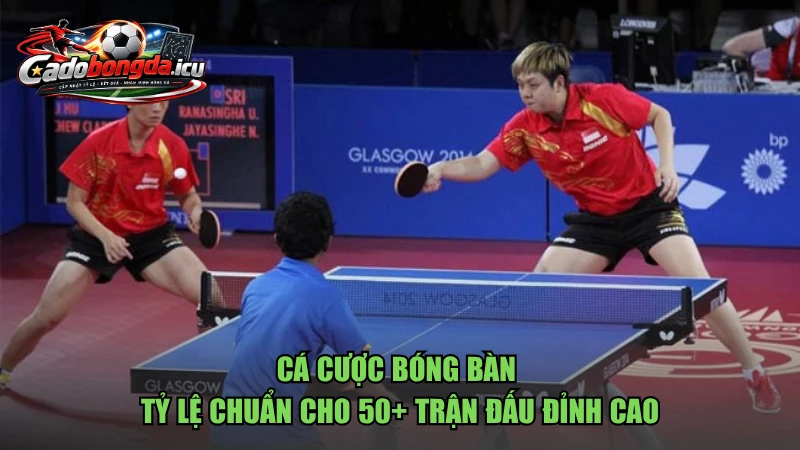 Cá Cược Bóng Bàn
