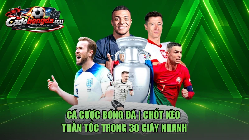 Cá Cược Bóng Đá