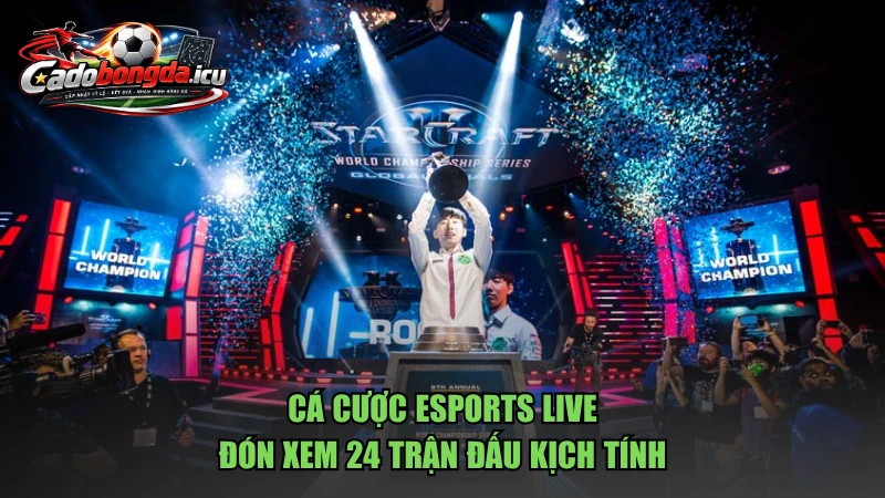 Cá Cược Esports Live