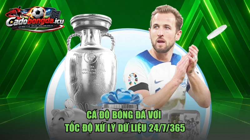 Cá cược bóng đá với tốc độ xử lý dữ liệu 24/7/365
