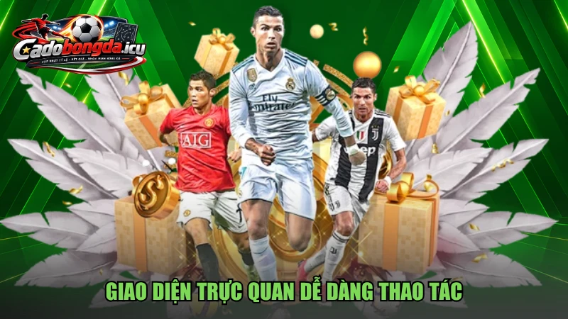 Giao diện trực quan dễ dàng thao tác