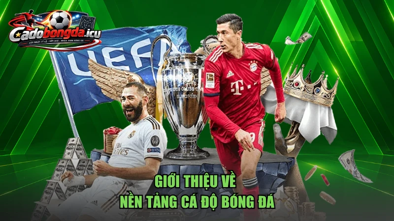 Giới thiệu về nền tảng Cá Độ Bóng Đá