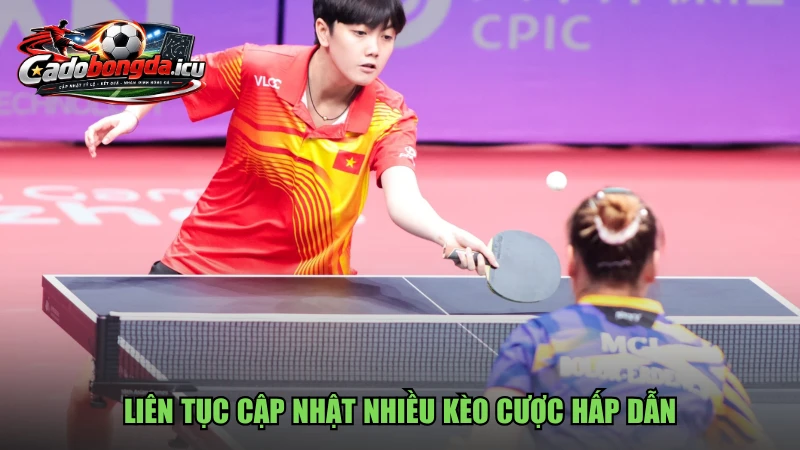Liên tục cập nhật nhiều kèo cược hấp dẫn