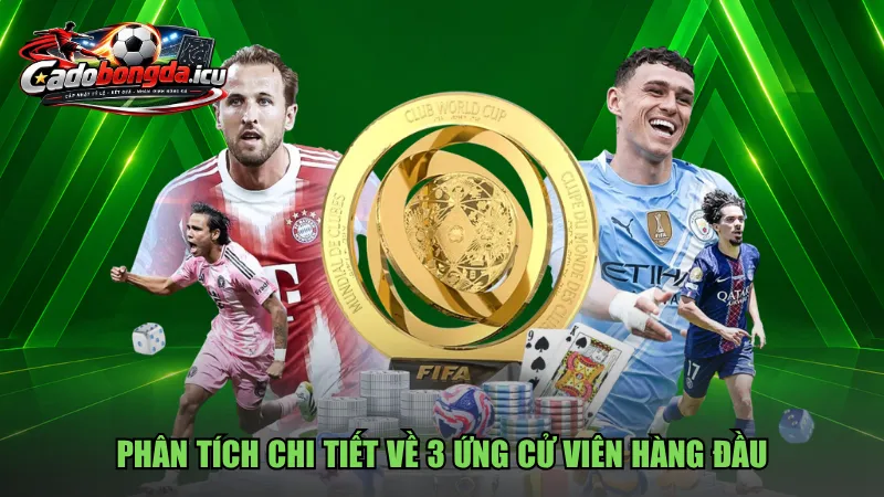 Phân tích chi tiết về 3 ứng cử viên hàng đầu