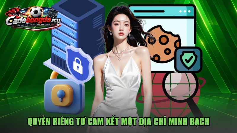 Quyền riêng tư cam kết một địa chỉ minh bạch
