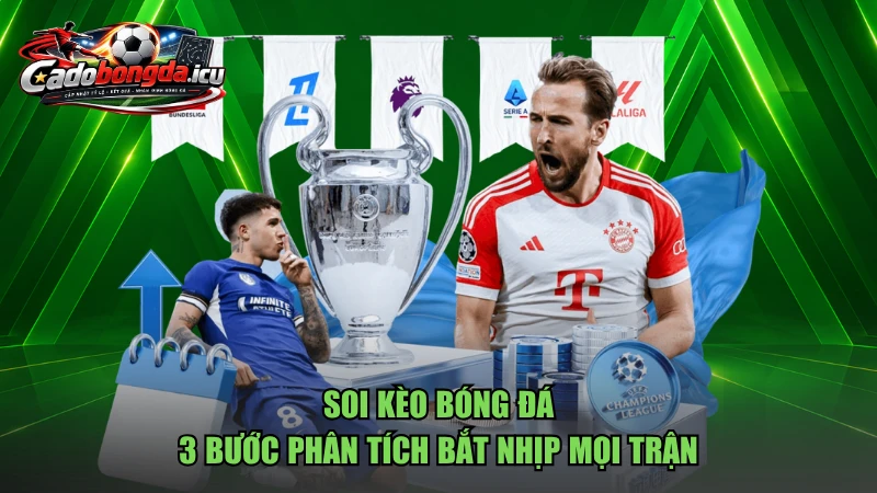 Soi Kèo Bóng Đá
