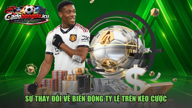 Sự thay đổi về biến động tỷ lệ trên kèo cược