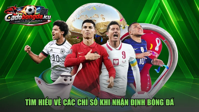 Tìm hiểu về các chỉ số khi nhận định bóng đá