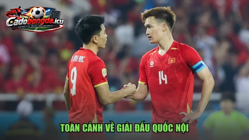 Toàn cảnh về giải đấu quốc nội