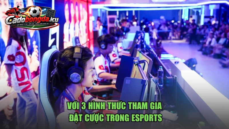 Với 3 hình thức tham gia đặt cược trong Esports